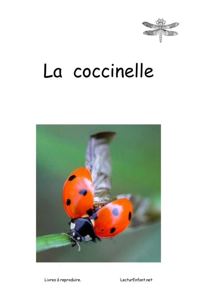 La coccinelle - Lecture Enfant