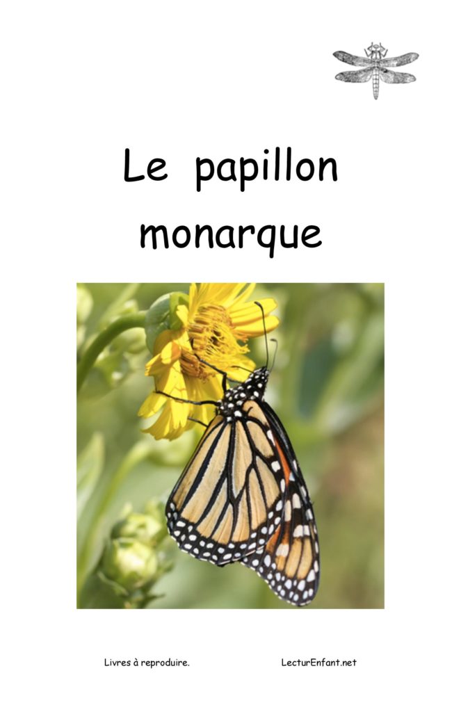 Le papillon summary